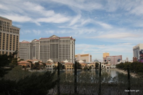 Water pond in front of Bellagio