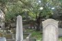 Charleston South Carolina graveyard