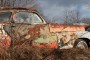 Old rusted car