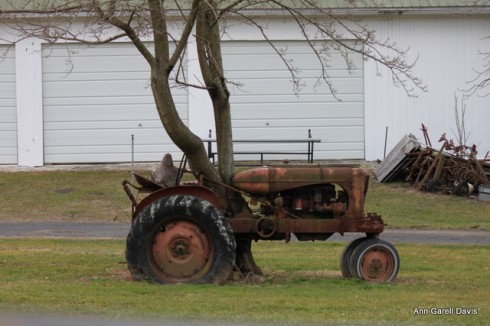 tractor and tree
